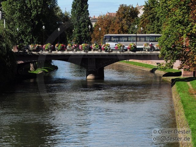 100826_105457_strasbourg_pfalzmeister_dester.jpg