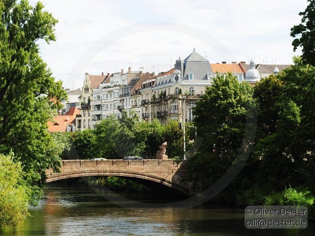 100826_112650_strasbourg_pfalzmeister_dester.jpg