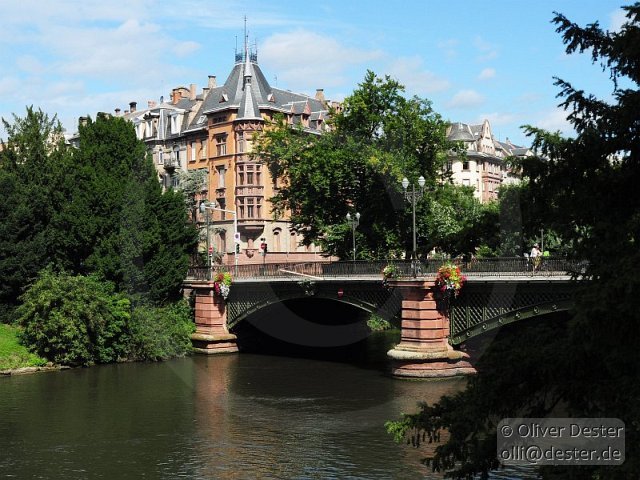 100826_112915_strasbourg_pfalzmeister_dester.jpg