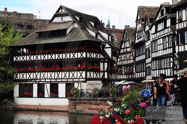 100826_124907_strasbourg_pfalzmeister_dester.jpg