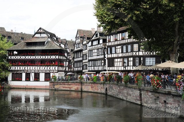 100826_125000_strasbourg_pfalzmeister_dester.jpg