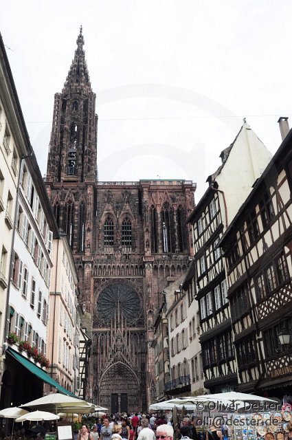 100826_131440_1_strasbourg_pfalzmeister_dester.jpg