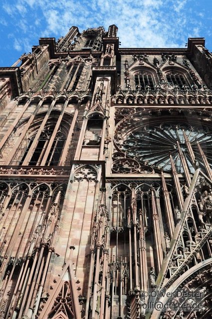 100826_145539_strasbourg_pfalzmeister_dester.jpg