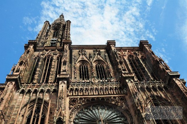 100826_145706_strasbourg_pfalzmeister_dester.jpg