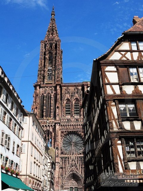 100826_151325_strasbourg_pfalzmeister_dester.jpg