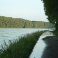 Hochwasser am Rhein in Germersheim am 13. August 2002