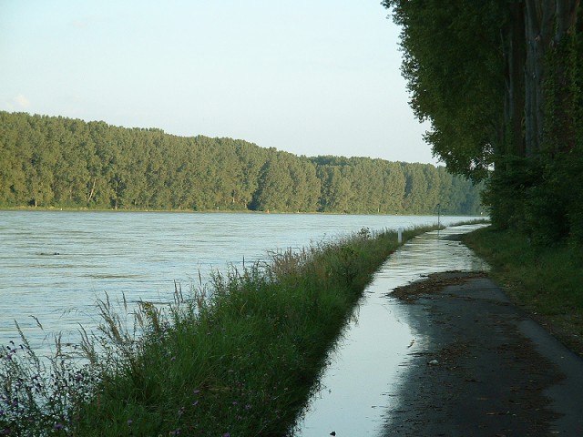 Hochwasser am Rhein in Germersheim am 13. August 2002